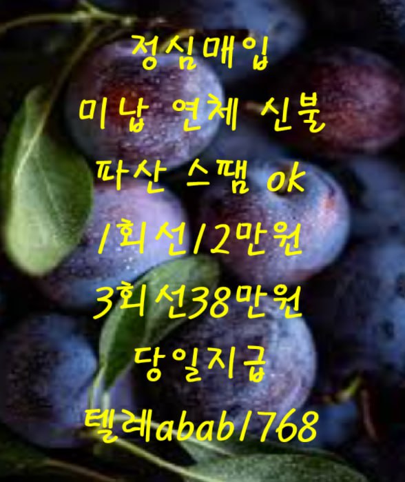 선불유심내구제 유심내구제 내구제 고액알바 당일대출 당일급전 비대면대출 비대면급전 소액결제 상조내구제 가전내구제 급전 일수 달돈 (62).jpg