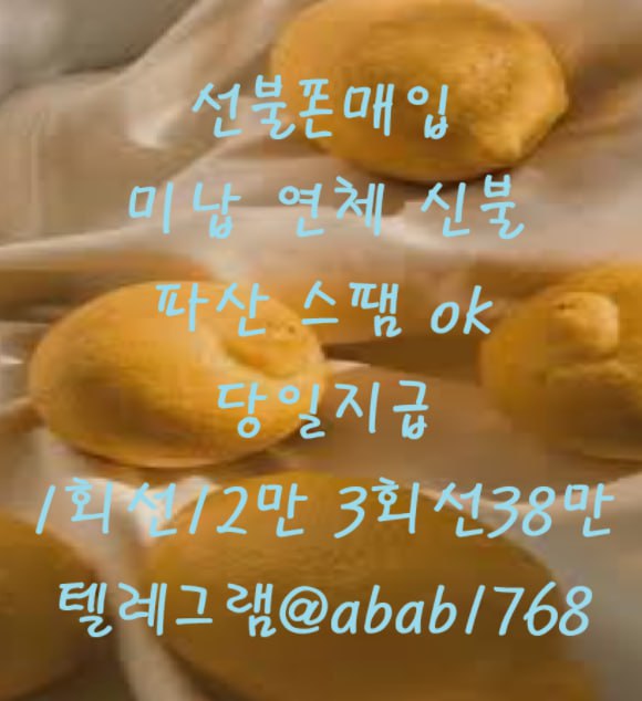 선불유심내구제 유심내구제 내구제 고액알바 당일대출 당일급전 비대면대출 비대면급전 소액결제 상조내구제 가전내구제 급전 일수 달돈 (67).jpg
