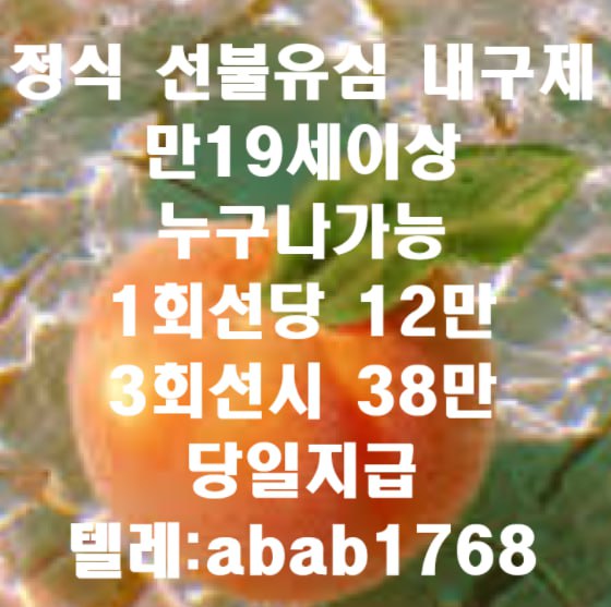 선불유심내구제 유심내구제 내구제 고액알바 당일대출 당일급전 비대면대출 비대면급전 소액결제 상조내구제 가전내구제 급전 일수 달돈 (41).jpg