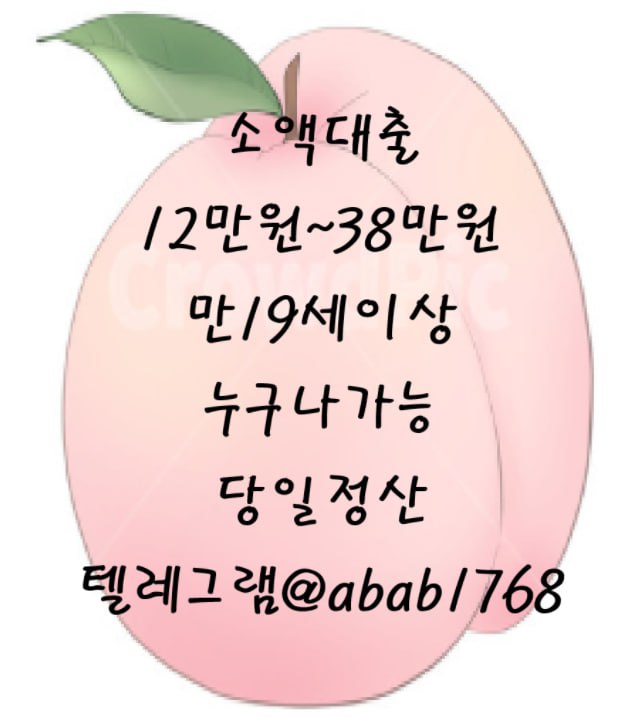 선불유심내구제 유심내구제 내구제 고액알바 당일대출 당일급전 비대면대출 비대면급전 소액결제 상조내구제 가전내구제 급전 일수 달돈 (95).jpg